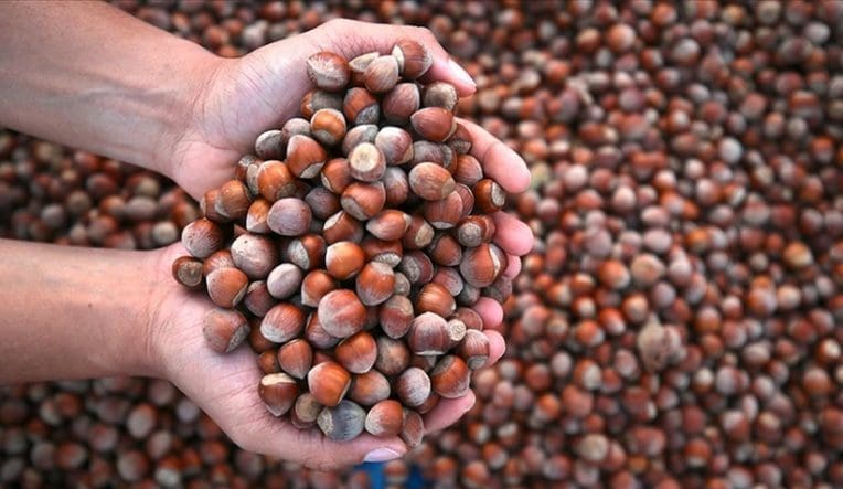 24-temmuz-findik-fiyatlari