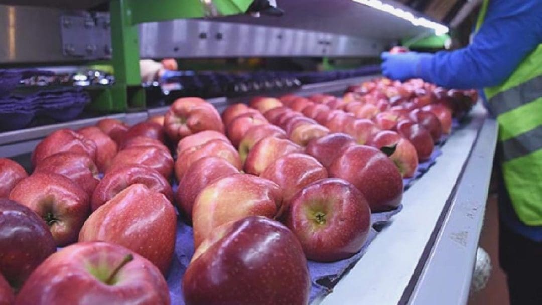 asya-fresh-konkordato-basvurusu-ve-surec-detaylari-1GfAwaTM.jpg
