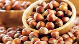 findik-fiyatlari-11-temmuz